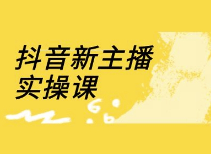 抖音新主播实操课，直播间流量运营线上实操课(18节)-AI创作学习-提示词应用-短视频玩法智汇云