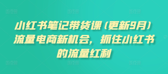 小红书笔记带货课(更新25年5月)流量电商新机会,抓住小红书的流量红利