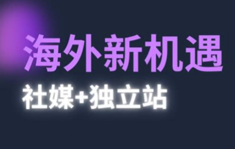 2025出海新机遇(社媒+独立站)，海外新机遇，实现独立站的高效运营与出海-AI创作学习-提示词应用-短视频玩法智汇云