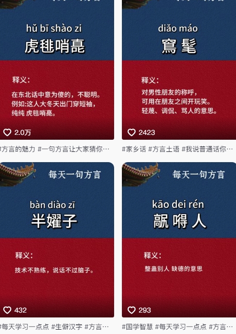 抖音最新涨粉玩法，【方言】图文暴力涨粉实操，126作品涨粉11W-AI创作学习-提示词应用-短视频玩法智汇云