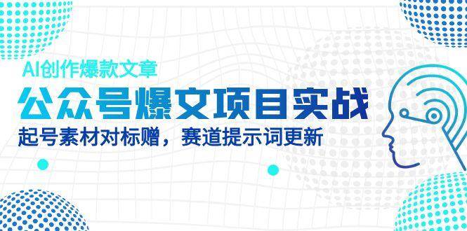 公众号爆文项目实战，AI创作爆款文章，起号素材对标赠（附赛道AI提示词）-AI创作学习-提示词应用-短视频玩法智汇云