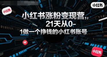 小红书涨粉变现营，21天从0-1做一个挣钱的小红书账号-AI创作学习-提示词应用-短视频玩法智汇云