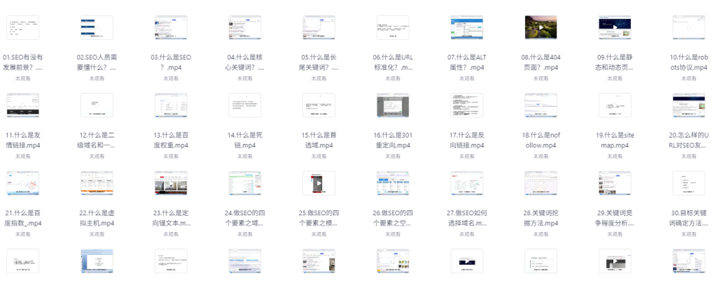 零基础SEO优化课程，手把手教你做SEO优化，只讲干货-AI创作学习-提示词应用-短视频玩法智汇云